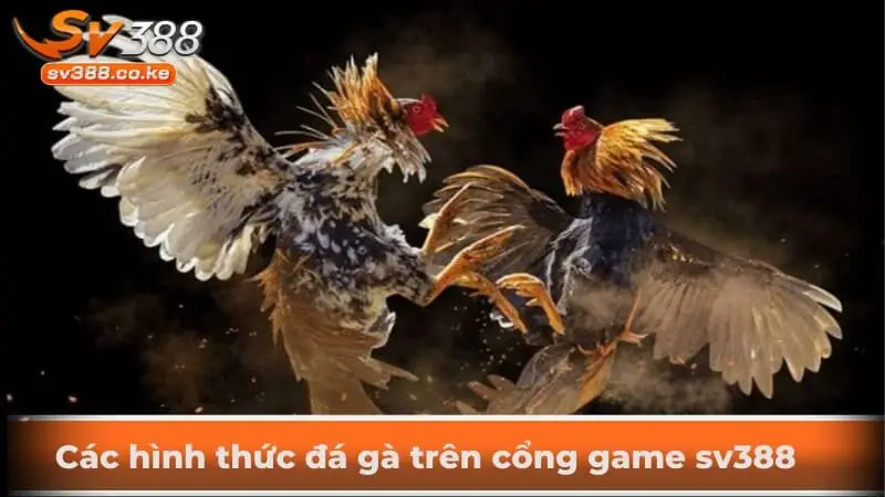 Các hình thức đá gà trên cổng game sv388