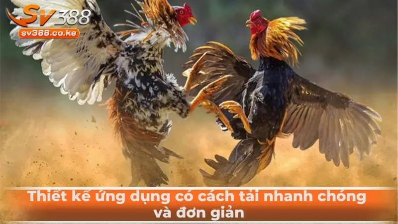 Thiết kế ứng dụng có cách tải nhanh chóng và đơn giản